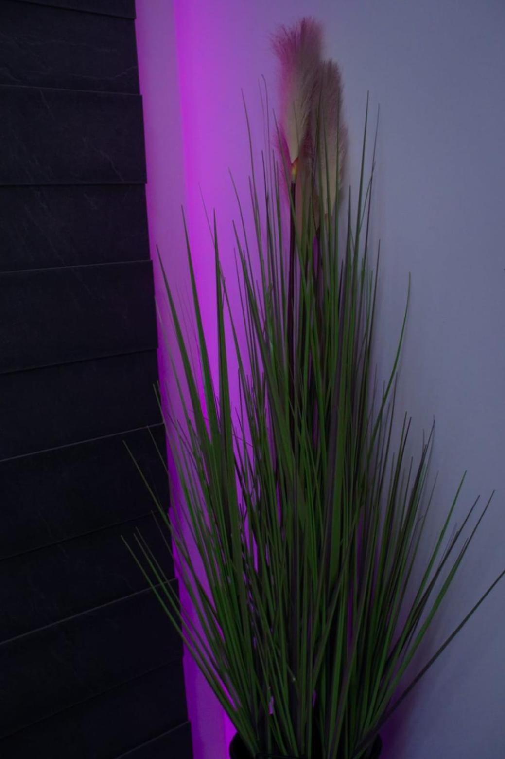 Apartman Mihovil Gospić Esterno foto